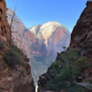 Meet your Posher, Collin